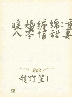 暖婚缠绵:重生八零俏甜妻 倾城一顾