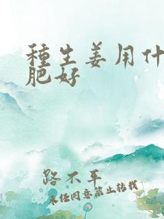 种生姜用什么底肥好