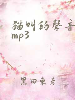 猫叫的声音音效mp3