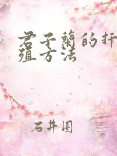 君子兰的扦插繁殖方法 君子兰的扦插繁殖方法