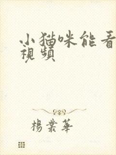 小猫咪能看懂的视频