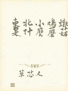 东北小鸡炖蘑菇是什么蘑菇 东北小鸡炖蘑菇是什么蘑菇