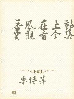 吾凰在上动漫免费观看全集完整版