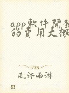app软件开发的费用大概多少