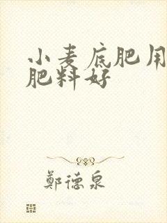 小麦底肥用什么肥料好