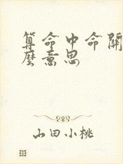 算命中命关是什么意思
