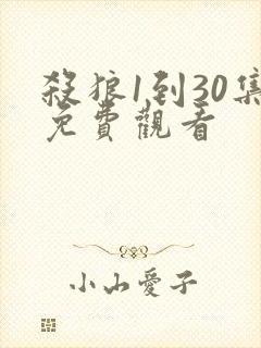 杀狼1到30集免费观看