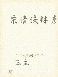 宋清浅林彦宸