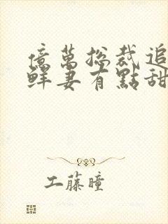 亿万总裁追妻 鲜妻有点甜