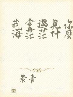 我会遇见你在人海茫茫什么歌