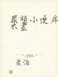 尿频小便疼痛尿不尽