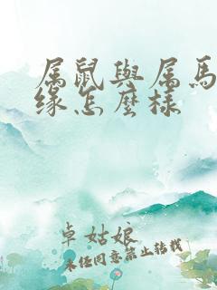 属鼠与属马的姻缘怎么样