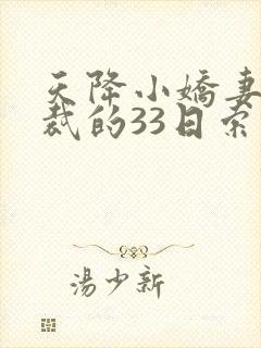 天降小娇妻,总裁的33日索情