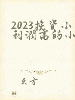 2023投资小利润高的小生意有哪些