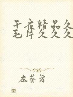 午夜精品久久久毛片久久久久