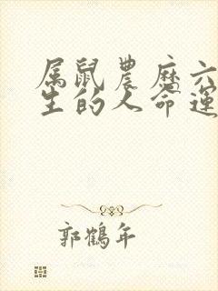 属鼠农历六月出生的人命运