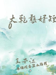 大乾憨婿短剧60