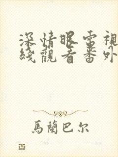 深情眼电视剧在线观看番外