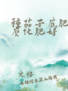 种茄子底肥用什么化肥好