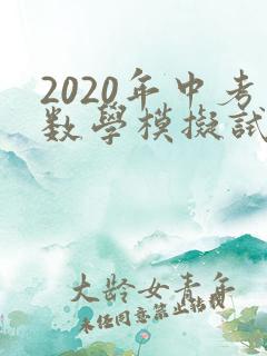 2020年中考数学模拟试卷(含答案)