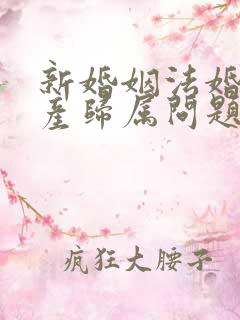 新婚姻法婚前财产归属问题