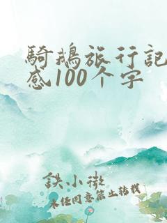 骑鹅旅行记读后感100个字