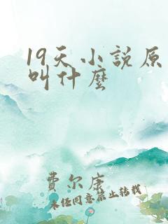 19天小说原著叫什么