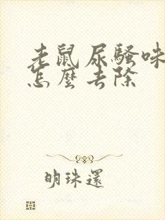 老鼠尿骚味太重怎么去除
