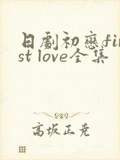 日剧初恋first love全集