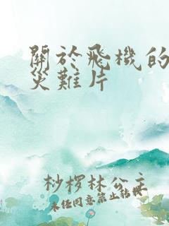 关于飞机的电影灾难片