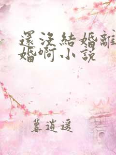 还没结婚离什么婚啊小说