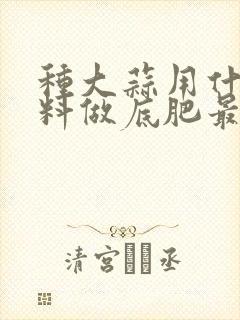 种大蒜用什么肥料做底肥最好
