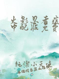 火影忍者疾风传中配版免费观看全集