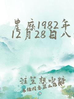 农历1982年12月28日八字算命