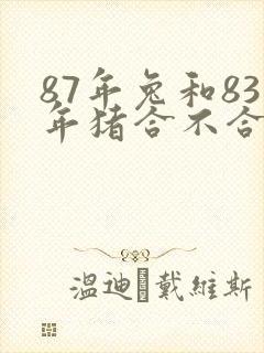 87年兔和83年猪合不合婚