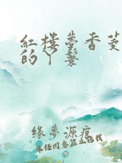 红楼梦香菱是谁的丫鬟