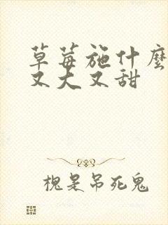 草莓施什么肥料又大又甜
