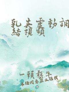 乳夹震动调教绳结视频