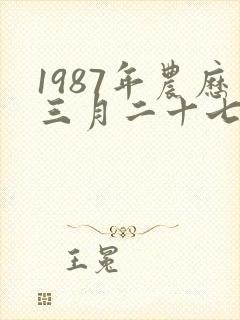 1987年农历三月二十七日八字算命