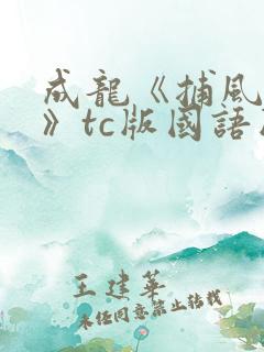 成龙《捕风追影》tc版国语版