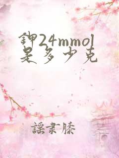 钾24mmol是多少克