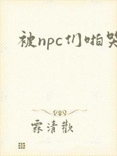 被npc们啪哭