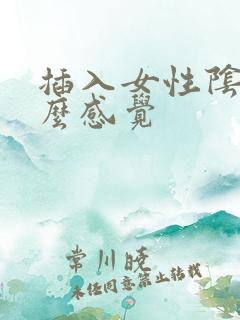 插入女性阴道什么感觉