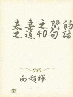 夫妻之间的相处之道40句话