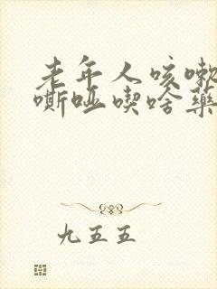 老年人咳嗽声音嘶哑吃啥药