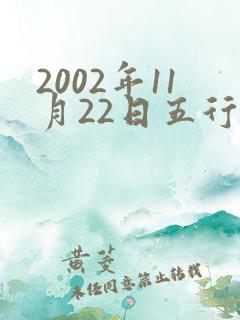2002年11月22日五行缺什么
