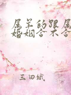 属羊的跟属兔的婚姻合不合