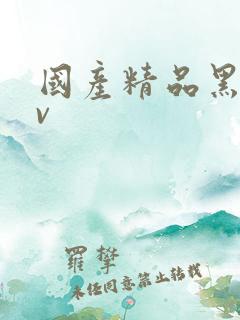 国产精品黑丝av
