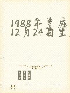 1988年农历12月24日生辰八字