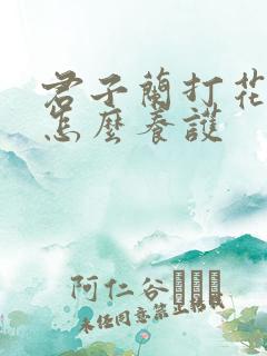 君子兰打花苞了怎么养护
